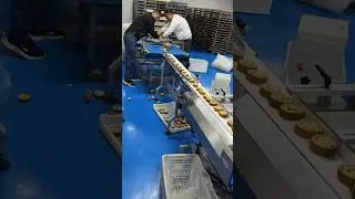 Bakery wrapping machinery cake wrapping machine cake packing machine for food wrapping