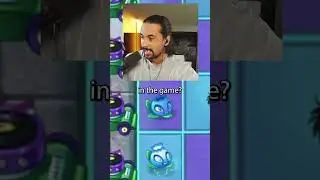 the 