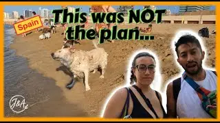 Barcelona Dog Beach Vlog | Funny Beach Chaos with Our Dog 🐶🌊