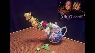 The Kettle's Boiled.  A tune written by Laura Carr and Amber Carr.
