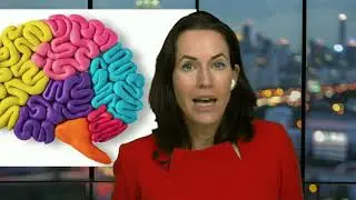 The Brain-Friendly Workplace: Why talented people quit and how to get them to stay