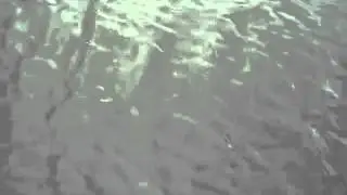 Enter Ka&scaron;ika | TOPfish test team