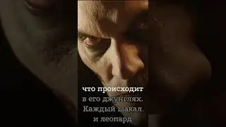Gangrel - Социопаты или хищники? | Vampire: The Requiem