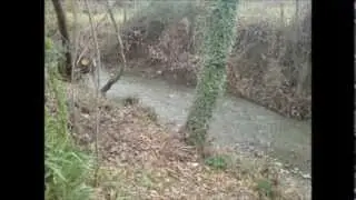 &Chi;&rho;&iota;&sigma;&tau;ό&delta;&omicron;&upsilon;&lambda;&omicron;&sigmaf; &Kappa;&omega;&sigma;&tau;&alpha;&rho;έ&lambda;&omicron;&sigmaf;   &Sigma;&tau;&alpha;&phi;ύ&lambda;&iota; &mu;&omicron;&upsilon; &kappa;&rho;&upsilon;&sigma;&tau;ά&lambda;&iota;&nu;&omicron;
