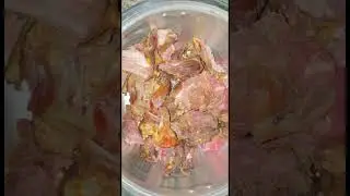 Cooking Goat Meat for My Family the Ugandan Way in an African village #howto #asmrsounds
