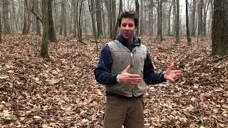 Introduction. Developing A Timber Stand Improvement Plan For Hardwood Regeneration.