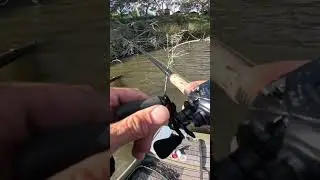 Удары по мутной воде с помощью Strike King Rage Bug
