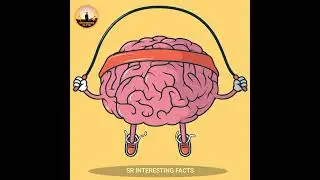 💥Interesting 5 question of Random facts..⁉️💢| SR interesting facts |#shorts