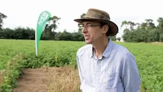 Strategic Potato (SPot) Farm East Herbicide Demonstrations 2017 Elveden Farms