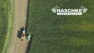 MAISERNTE 2021  ||  Fendt, John Deere, Krampe, P&ouml;ttinger || Haschke Agrar