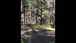 Nature Park Kasol