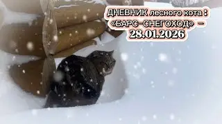 ДНЕВНИК лесного кота: «БАРС-снегоход!» - 28.01.2026