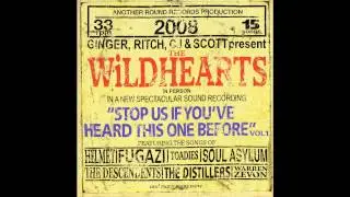 The Wildhearts - Ice Hockey Hair (Super Furry Animals cover)
