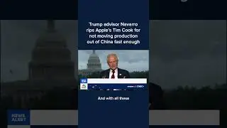 Trump advisor Navarro rips Apple's Tim Cook on not moving production out of China fast enough