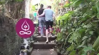 Intuitive Flow Yoga Studio