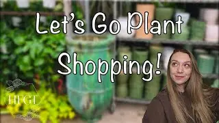 Come plant shopping with me to 3 different greenhouses around the city! 🌵