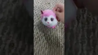 oh look in to the cute puff ball  eye