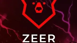 Обзор на ZEER Changer/Скинченджер