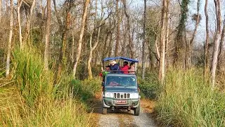 Elefanten-Aufzuchtstation und Jeep-Safari im Chitwan-Nationalpark/Nepal am 28.01.26