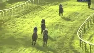2012 Shloer Chase
