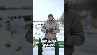 Roztopy już w lutym? Czy prognoza długoterminowa okaże się prawdziwa?