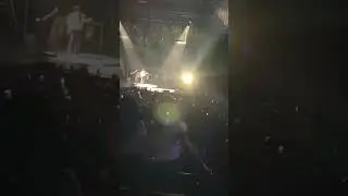 She plays bass - Beabadoobee live 💕