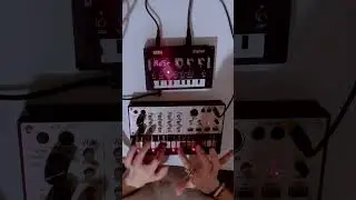🎛️ Exploring Melodies with the NTS-1 + Volca Keys 🎹⚡ (Melody 2) #synth #volcakeys #nts1