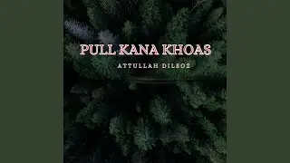 Pul Aenas