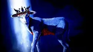 The Lamb with Seven Horns and Seven Eyes - Revelation Series: Part 14