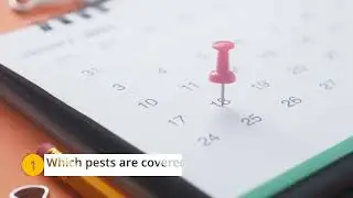 What Is the Average Price for Quarterly Pest Control?