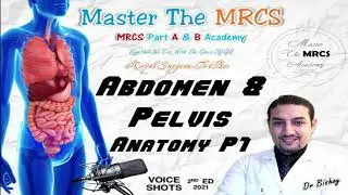 MTM Abdomen and Pelvis Anatomy P1 Voice Shots Dr Bishoy 9 2021