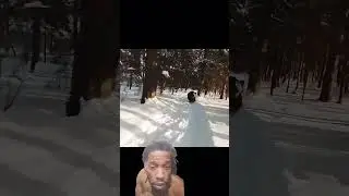 #wtf#bearrun#runforest#drone