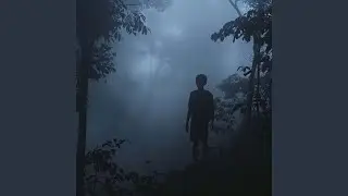 Drifting Like The Moonlight