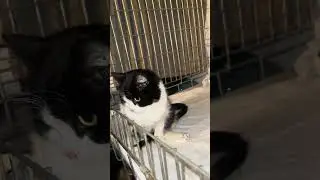 Пивовар