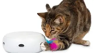 Top 10 best smart pet toys