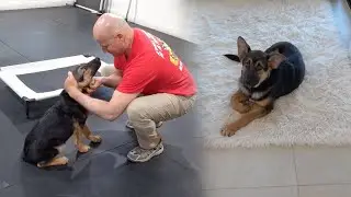 Sending Cooper Away!