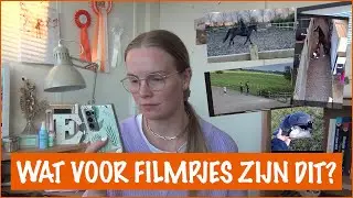 OMG reageren op internet video's | PaardenpraatTV