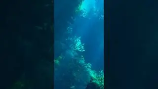 Avatar Underwater Shot inspired by Little Mermaid #vfx#avatarworld #disney
