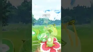 Meganium, Incineroar & Castform in Go Battle Great League #pokemongo 💚🔥🤍