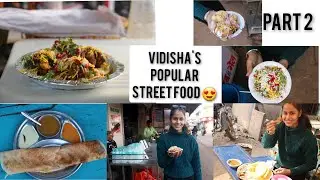 Vidisha's Popular Street Food Part 2😍 #vidisha #food #streetfood