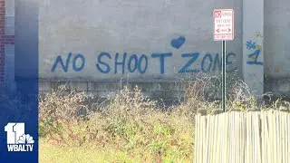 Knife-wielding Baltimore activist fatally shot by police