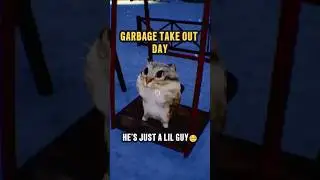 WHAT HAPPENS WHEN YOU PET A CAT IN A HORROR GAME? | GARBAGE TAKE OUT DAY