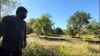 Hamari kheti vaadi 19 December | Kalpana Patel vlog