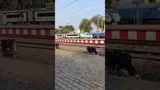 Vande Bharat Cross Barabanki Junction #vandebharatexpress #train #railway