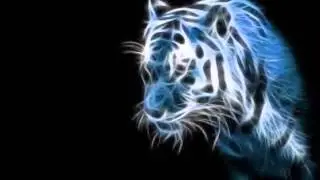 What is, will forever be - All Vinyl Neurofunk Mix