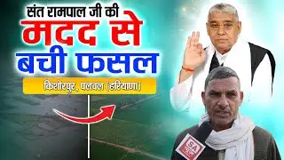 किशोरपुर (पलवल) की कहानी | 3 साल में नहीं हुआ टेंडर, 7 दिन में बदल गई किस्मत || SA News Channel