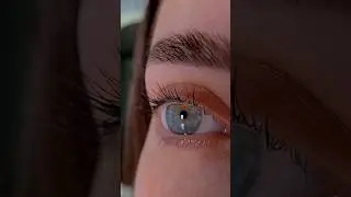 В моем инст @lami.anjelato будет вся инфо #eyelashextensions #lashextensions #eyelashes #beauty