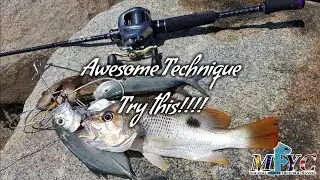 Golden Snapper and Grouper Fish Landbase Micro Jig - Malaysia Fishing YouTuber Channel -