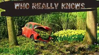 A tribute to one of the greatest cars ever - The Volkswagen Beetle