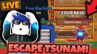 🌊GRAMY DUELE W NOWYM TSUNAMI UPDATE W STEAL A BRAINROT! 💵DONATE💵 💎LOSUJEMY NAGRODY💎